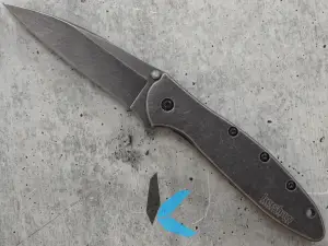 Kershaw 1660BLKW Leek