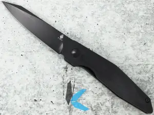 Kizer Cutlery V3620C2 Spot Liner Lock, Black