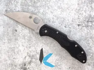 Spyderco C11FPWCBK Delica Flat WC Pln
