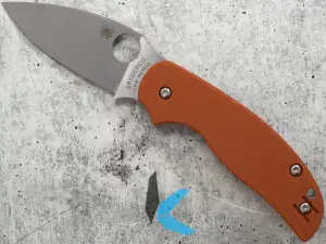 Spyderco C123GBORP Sage 5 G-10
