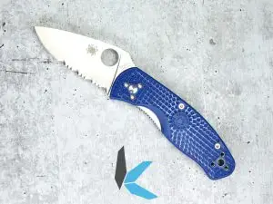 Spyderco C136PSBL Persistence FRN Blue PS