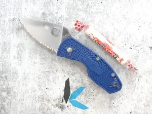 Spyderco Ambitious Lightweight Blue Cpm S35vn C148SBL