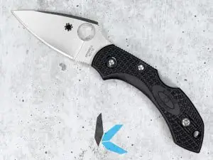 Spyderco Dragonfly 2 C28PBK2