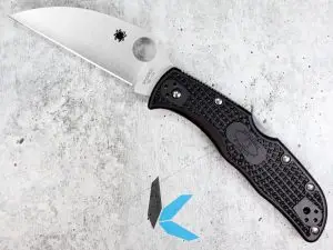 Spyderco Endela Wharncliffe Folding Knife C242FPECBK