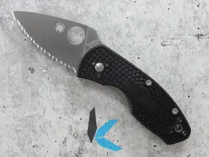 Spyderco Folding Knives Ambitious Lightweight C148SBK