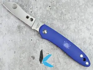 Spyderco Roadie Blue C189PBL