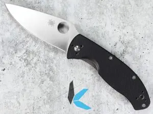 Spyderco Tenacious Black G-10 Folding Knife C122GP