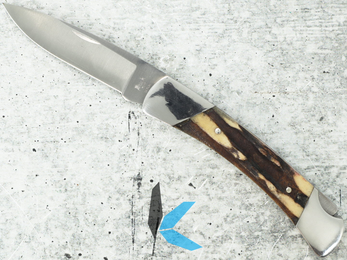 Used Buck Knives 501 Squire Cat #238 Stag Handles with Box - Image 2